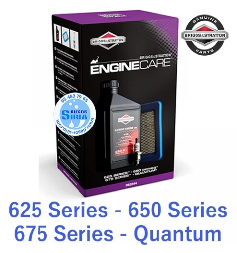 Kit Mantenimiento Original B&S 625E Series 650E Series 675 Series Quantum 992244 - 992202 - 992233