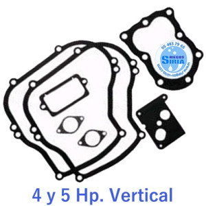 Juego juntas compatible 4 y 5 Hp Vertical Series 130900 y 131989 010081