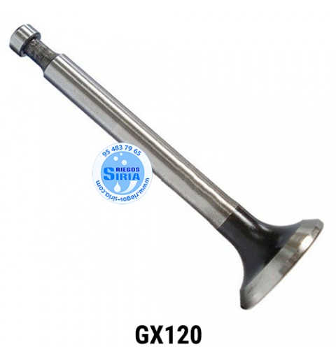 Válvula de Admisión compatible GX120 000160