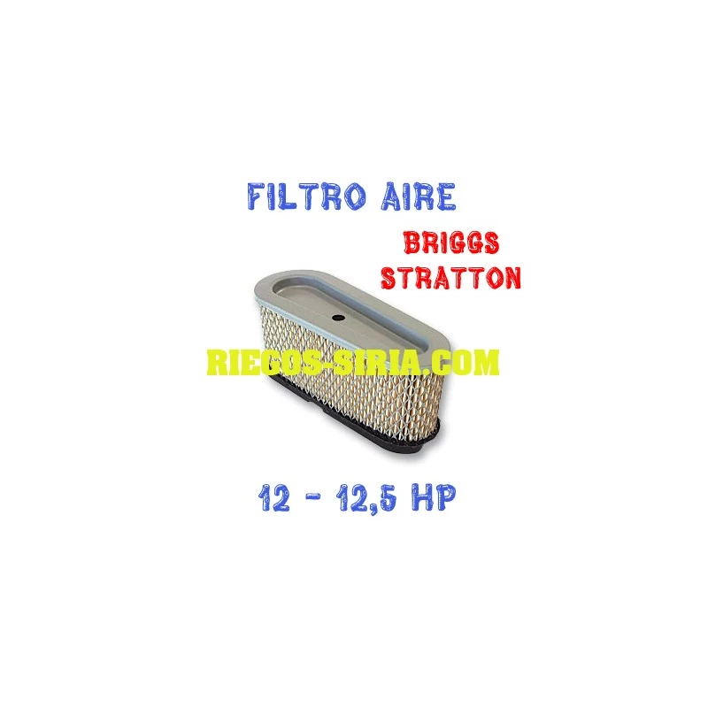 Filtro de Aire adaptable Briggs Stratton 12 12,5 Hp 010043