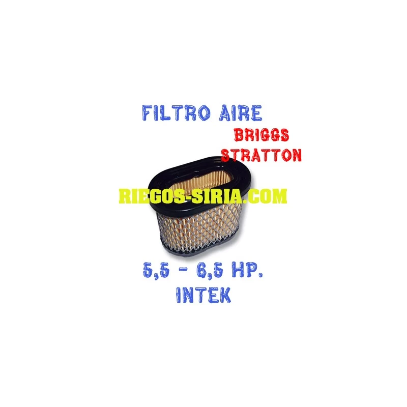 Filtro de Aire adaptable Briggs Stratton 5,5 - 6,5 Hp. Intek 010072