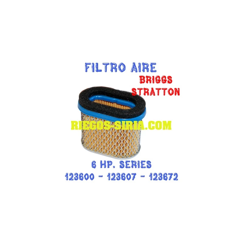 Filtro de Aire adaptable Briggs Stratton 6 Hp. 010064