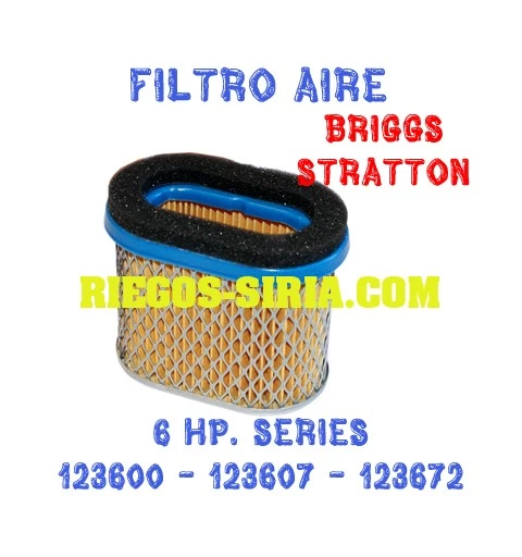 Filtro de Aire adaptable Briggs Stratton 6 Hp. 010064