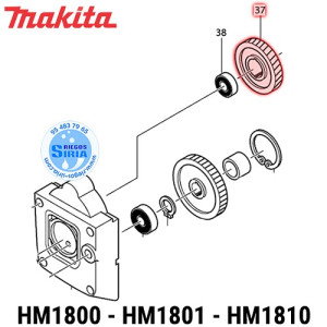 Corona Intermedia Original HM1800 HM1801 HM1810 221793-8