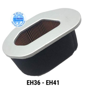 Filtro Aire compatible EH36 EH41 050072