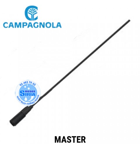 Varilla Carbono Campagnola Master 0193.0150