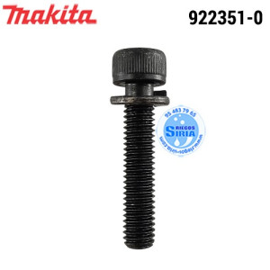 Tornillo Hexagonal M6x30* Original DHR400 EM4351 HM0860 HM1100 HM1130 HM1140 HR005 HR4002 HR4003 HR4013 HR5001 LF1000 UR013 9...