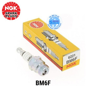 Bujia Original NGK BPM6F 120350