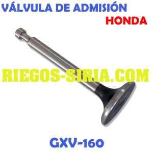 Válvula de Admision adaptable GXV160 000201