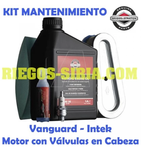 Kit Mantenimiento Original B&S Vanguard Intek (Modelos con Válvulas en Cabeza) 992211 - 992239
