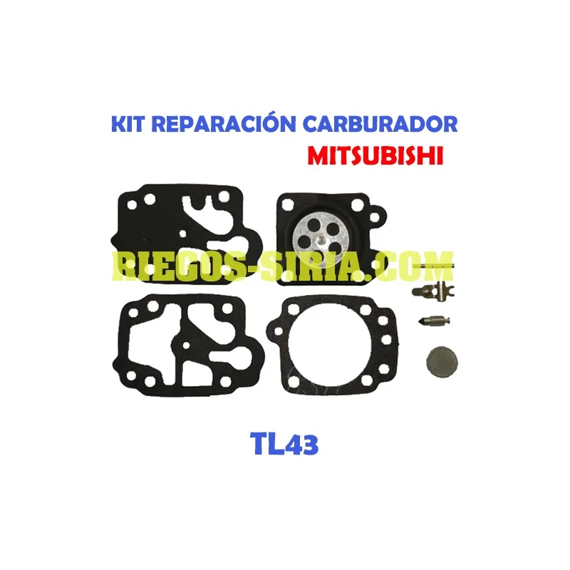 Kit Reparación Carburador adaptable Mitsubishi TL43 070056