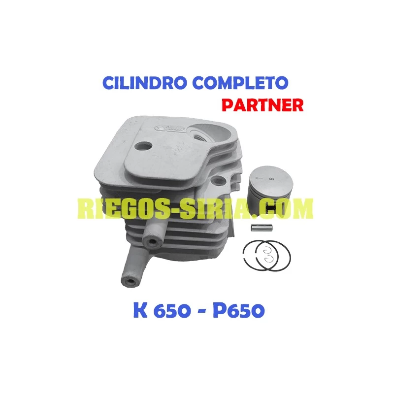 Cilindro Completo adaptable K650 Active P650 150003