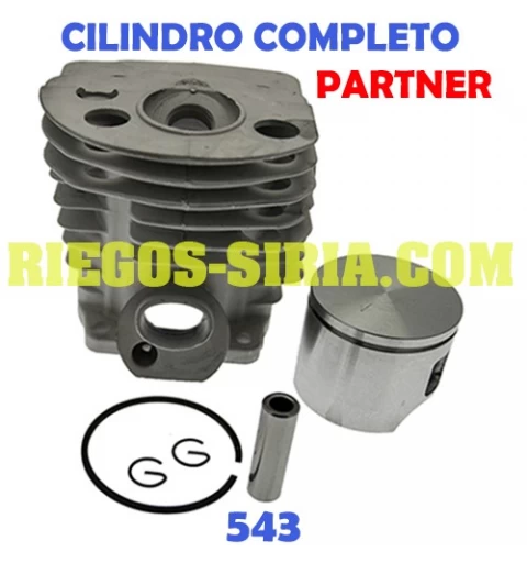 Cilindro Completo adaptable P543 030113