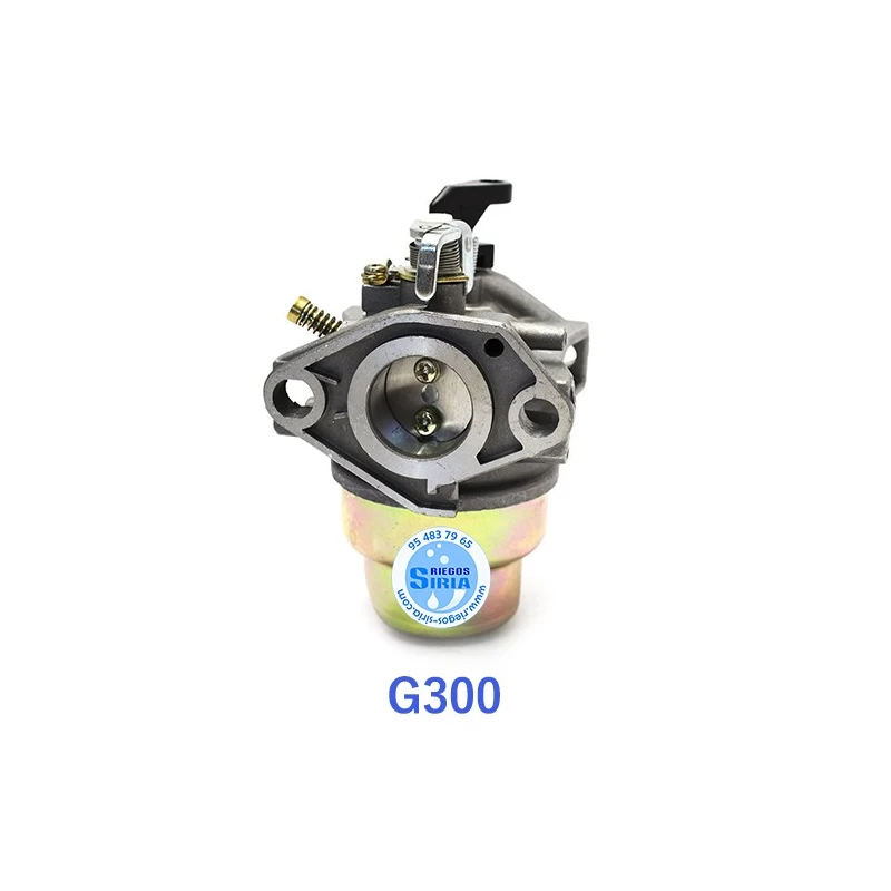 Carburador adaptable G300 000484