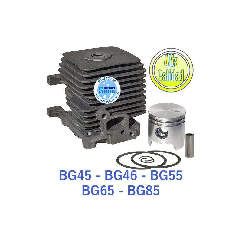 Cilindro Completo compatible BG45 BG46 BG55 BG65 BG85 020116