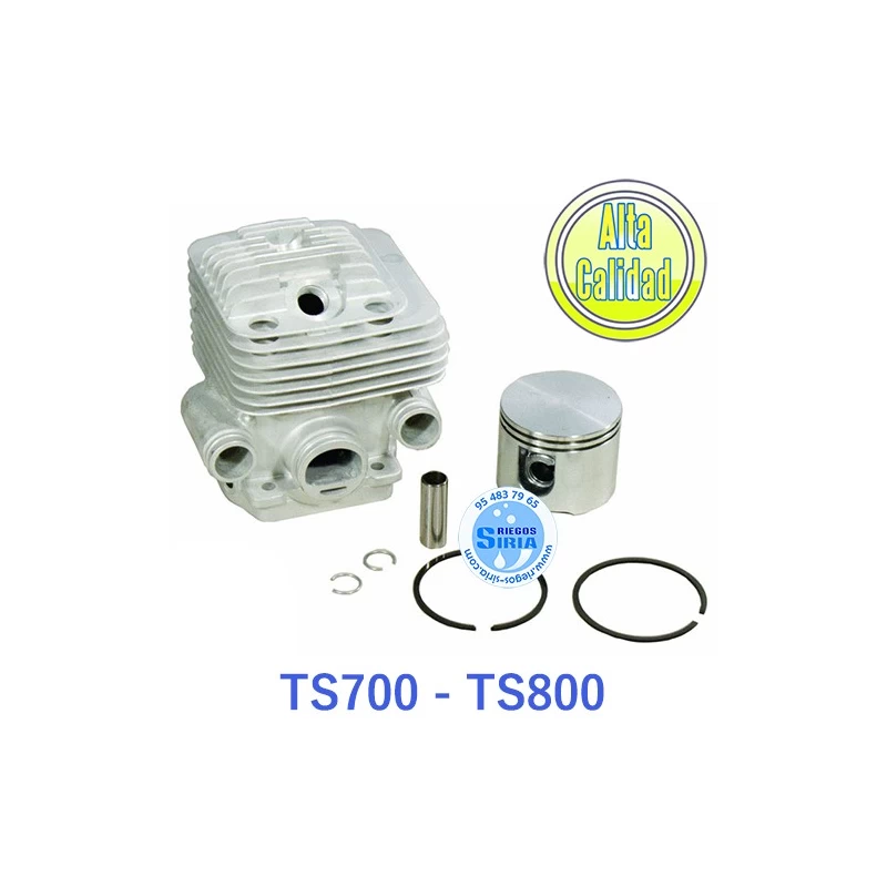 Cilindro Completo compatible TS700 TS800 020139