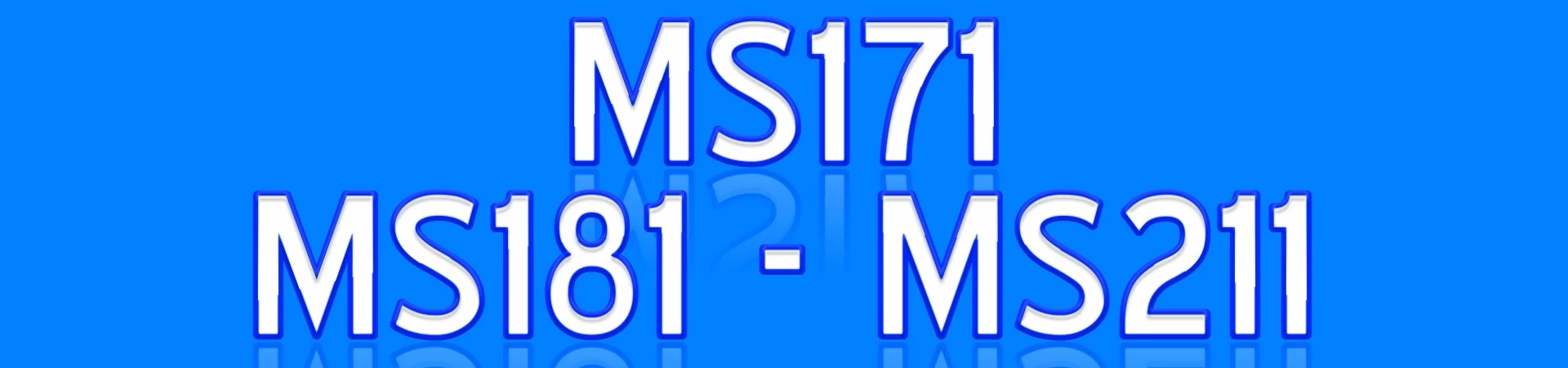REPUESTOS para Motosierra STIHL MS171 MS181 MS211